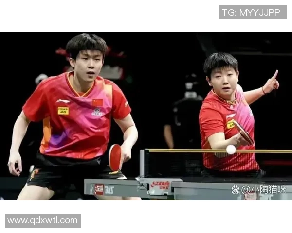 乒乓球速度排行榜揭晓北京乒乓球队荣获第三名佳绩